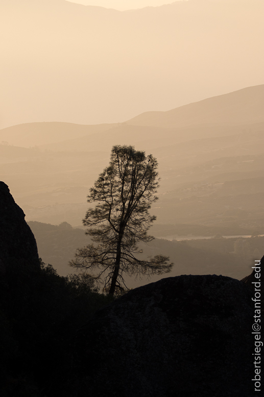 pinnacles